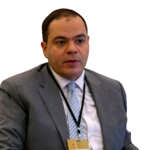 Prof. Ibrahim Elsayed