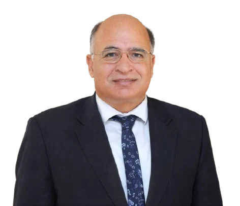 Prof. Abdelhalim Deifalla
